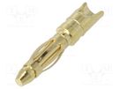 Plug; 2mm banana; 15A; Contacts: brass gold plated; 18AWG; 0.8mΩ AMASS