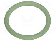 O-ring gasket; FPM; Thk: 2mm; Øint: 22mm; NPT3/4"; green; -40÷200°C HUMMEL