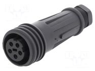 Connector: circular; plug; female; PIN: 5; 18A; 600V; EXPlora; IP68 BULGIN