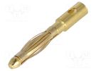 Plug; 2mm banana; 15A; Contacts: brass gold plated; 18AWG; 1.5mΩ AMASS