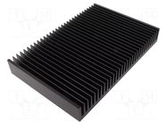 Heatsink: extruded; grilled; black; L: 200mm; W: 300mm; H: 40mm FISCHER ELEKTRONIK