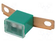 Fuse: fuse; 40A; automotive; JAPVAL; male; 48.6mm MTA