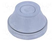 Grommet; with bulkhead; Ømount.hole: 48mm; EPDM; grey; Size: M50 SCHNEIDER ELECTRIC