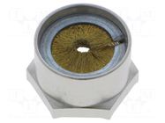 Nut; with earthing; M20; brass; 24mm; Thread: metric; Pitch: 1.5 LAPP