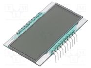 Display: LCD; 7-segment; STN Positive; No.of dig: 4; Char: 12.7mm DISPLAY ELEKTRONIK