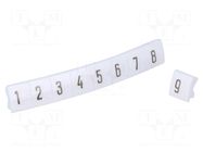 Marker; white; Width: 5mm; Marking: 1-10; push-in; 250pcs. KURANT