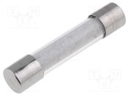 Fuse: fuse; time-lag; 3.15A; 250VAC; cylindrical,glass; 6.3x32mm SCHURTER