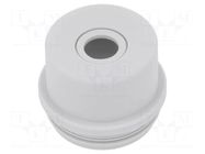 Grommet; elastomer thermoplastic TPE; grey; -35÷60°C; UL94HB SPELSBERG