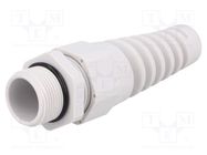 Cable gland; with strain relief; M25; 1.5; IP68; polyamide; grey BM GROUP