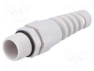 Cable gland; with strain relief; PG11; IP68; polyamide; grey BM GROUP