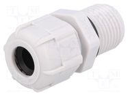 Cable gland; with long thread; PG9; IP68; polyamide; grey; UL94V-2 BM GROUP