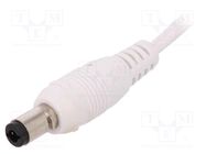 Plug; DC supply; female; 5.5/2.5mm; with lock,with lead; white; 2A CLIFF