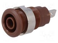 Connector: 4mm banana; socket; 24A; 1kV; Cutout: Ø12.2mm; brown STÄUBLI