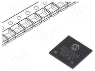 IC: ARM microcontroller; WFBGA144; 2.97÷3.6VDC; 128kBSRAM; CEC MICROCHIP TECHNOLOGY