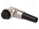 Plug; microphone; female; PIN: 6; with strain relief; for cable NINIGI