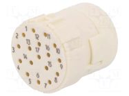 Connector: M23; contact insert; PIN: 17; female; crimped; 8A; 160V HARTING