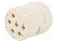 Connector: M23; contact insert; PIN: 6; female; crimped; 300V; 20A HARTING