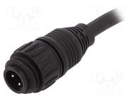 Connector: circular; plug; PIN: 4; male; cables; ECOMATE (C016) AMPHENOL