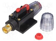 Fuse: automatic; automotive; 30A; black; 12÷24VDC; 4.2x10x4.2mm 4CARMEDIA