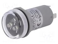 Voltage indicator; 30mm; Harmony XB5; -30÷70°C; IP55; white; 30mm SCHNEIDER ELECTRIC