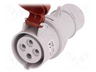 Connector: AC supply 3-phase; plug; female; 16A; 400VAC; IEC 60309 PAWBOL