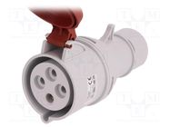 Connector: AC supply 3-phase; plug; female; 32A; 400VAC; IEC 60309 PAWBOL