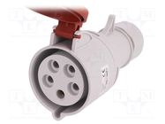 Connector: AC supply 3-phase; plug; female; 32A; 400VAC; IEC 60309 PAWBOL