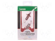 Filament lamp: automotive; P14,5s; white-blue; 12V; 55W LUCAS