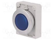 Control lamp; 30mm; RMQ-Titan; -25÷70°C; Illumin: M22-LED; Ø30.5mm EATON ELECTRIC