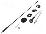 Antenna; car top,automotive; 400mm; AM,FM; universal; 2.7m MTA