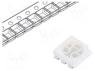 LED; blue; SMD; 5050,PLCC6; 3lm; 810÷1250mcd; 2.8÷3.6VDC; 120°; 60mA FORYARD