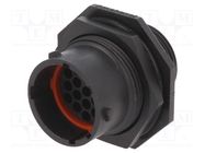 Connector: circular; socket; for panel mounting,front side nut AMPHENOL