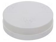 Lamp: lighting fixture; AFRODYTA; polycarbonate; E27; IP44; H: 78mm PAWBOL