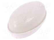Lamp: lighting fixture; PUMA OVAL; polycarbonate; E27; IP65; oval PAWBOL