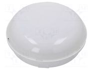 Lamp: LED lighting fixture; PANDA LED; polycarbonate; 4000K; IP65 PAWBOL