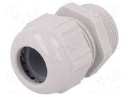 Cable gland; PG42; IP68; polyamide; light grey; SKINTOP® LAPP