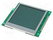 Display: LCD; graphical; 160x160; COG,FSTN Positive; LED; PIN: 18 RAYSTAR OPTRONICS