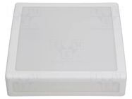 Lamp: lighting fixture; ERIS; polycarbonate; E27; IP44; Body: white PAWBOL