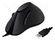 Mouse; black; USB; optical,wired; No.of butt: 5 LOGILINK