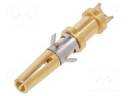 Contact; female; Buccaneer 6000; brass; nickel plated; soldering BULGIN