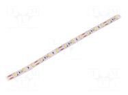 LED tape; white neutral; 5630; LED/m: 60; 10mm; white PCB; IP20 WISVA OPTOELECTRONICS