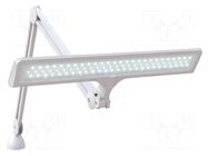 Lamp: bench; 6000K; W: 510mm; 15W; 230VAC; CRImin: 80; white DAYLIGHT COMPANY