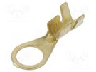 Tip: ring; M6; 1÷2.5mm2; crimped; for cable; straight; none; brass IMP