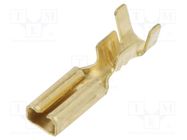 Terminal: flat; 2.8mm; 0.8mm; female; 0.3÷1mm2; crimped; for cable IMP