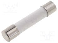 Fuse: fuse; time-lag; 12A; 250VAC; ceramic,cylindrical; 6.3x32mm LITTELFUSE