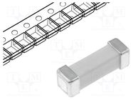 Fuse: fuse; time-lag; 1.25A; 600VAC; SMD; ceramic; 10.1x3.12x3.12mm LITTELFUSE