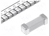 Fuse: fuse; 1.25A; 600VAC; time-lag; ceramic; 10.1x3.12x3.12mm; SMD LITTELFUSE