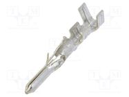 Contact; male; tinned; 24AWG÷18AWG; Standard .062"; bulk; 3.68mm MOLEX