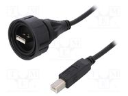 Cable; USB Buccaneer; USB A plug,USB B plug; IP68; 2m BULGIN
