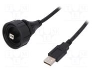 Cable; USB Buccaneer; USB A plug,USB B plug; IP68; 5m BULGIN